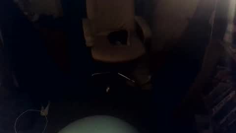 luchahor online show from November 28, 11:45 pm