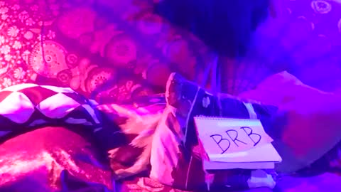 Lucky Eid Azy online show from January 4, 6:52 am