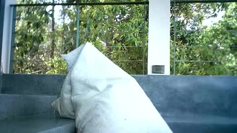 LuckyLukas online show from November 4, 4:47 am