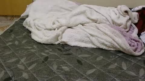 lunargoddess45 online show from February 20, 10:12 pm