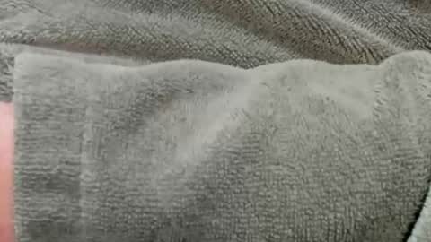 lustgardener67 online show from November 8, 2:31 pm