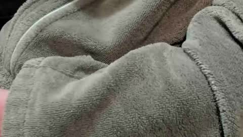 lustgardener67 online show from October 7, 7:10 pm