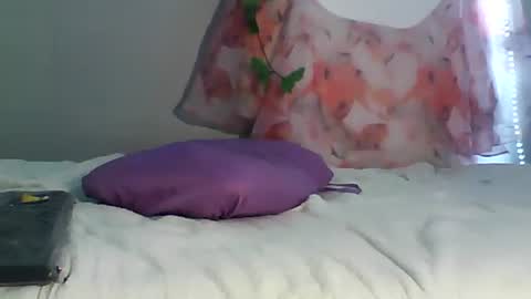 Bee Bee online show from November 15, 5:09 am