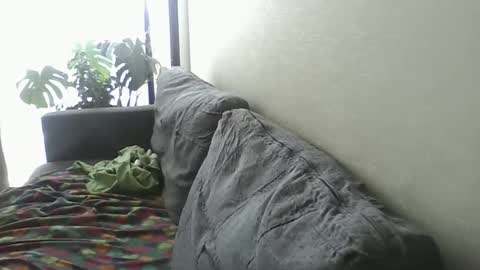 Snapshot of luzardol chatting on February 8, 6:11 pm luzardol online show from February 8, 6:11 pm