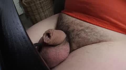 HOTnHORNY online show from January 21, 1:43 pm