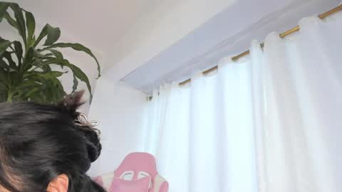 maggie online show from March 27, 3:13 pm