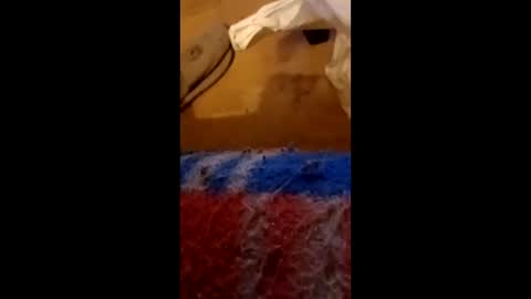 mako998843 online show from February 15, 7:34 pm