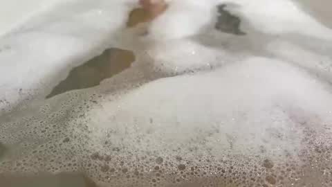 Monad online show from November 13, 7:49 pm