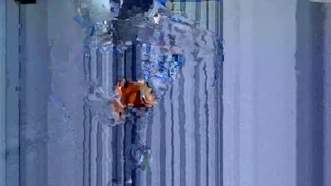 maluma1981 online show from December 22, 1:34 am