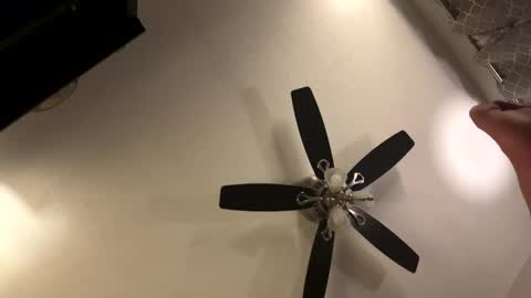 Kaleb online show from November 21, 9:18 am