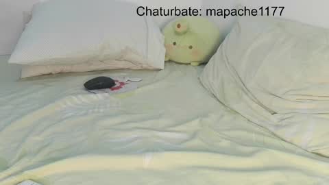 mapache1177 online show from March 6, 1:26 am