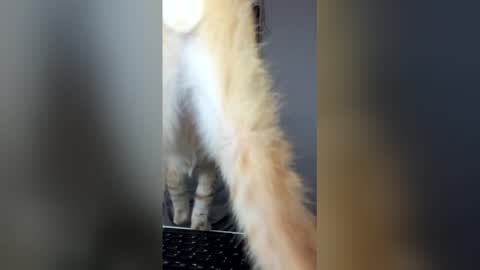 marcus online show from December 16, 8:42 am