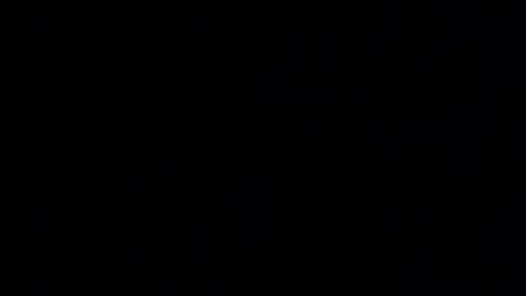 Elle online show from November 29, 11:23 pm