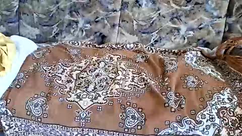 marian20242025 online show from November 1, 7:07 am