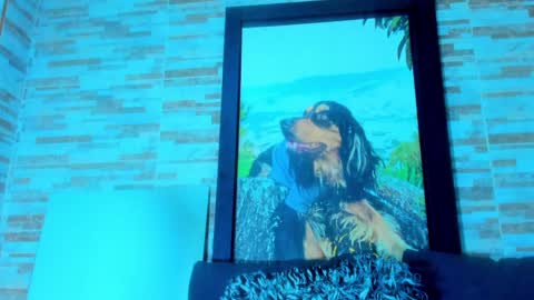 Sebastian online show from February 1, 12:04 pm