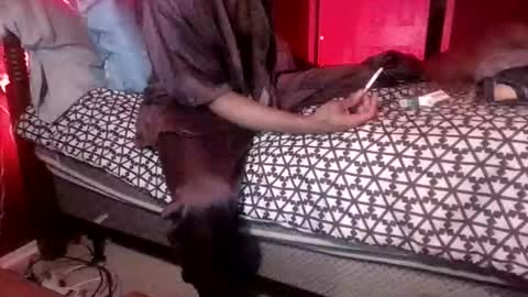 Reparations for the departed online show from February 10, 8:17 am