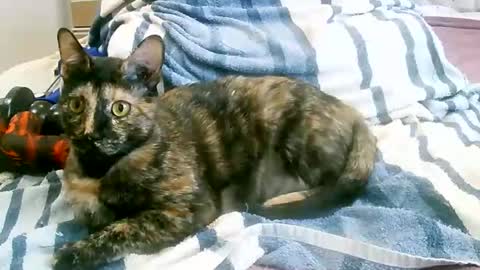 Play with me I obey I promise  online show from March 15, 1:58 pm