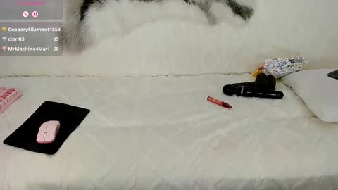 Maryelle online show from March 11, 10:35 pm