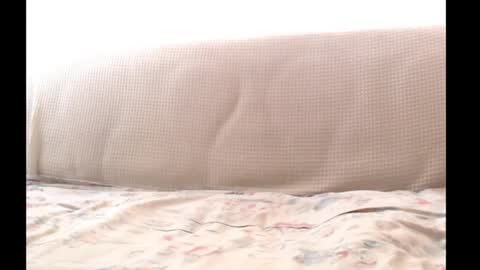 Master online show from November 10, 2:09 pm