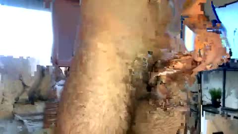 Master Van online show from February 26, 12:16 pm