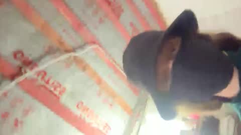 Zoya online show from March 11, 9:12 am