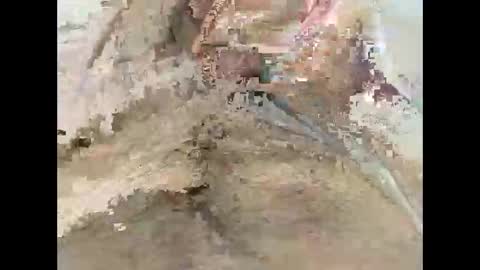 maxega1982 online show from May 31, 3:44 pm