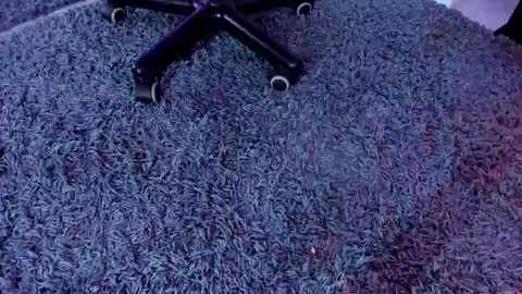 bunny black   online show from March 1, 8:34 am