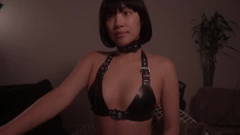  for more 3 online show from October 26, 2:23 am