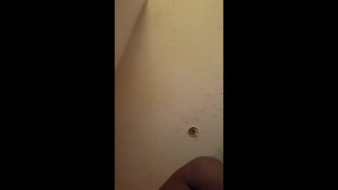 mel_hart_jr online show from April 28, 7:56 am