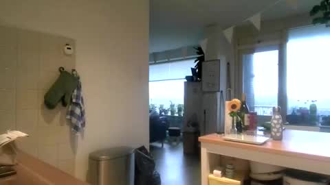 Snapshot of meneerkaas chatting on November 1, 8:24 am meneerkaas online show from November 1, 8:24 am