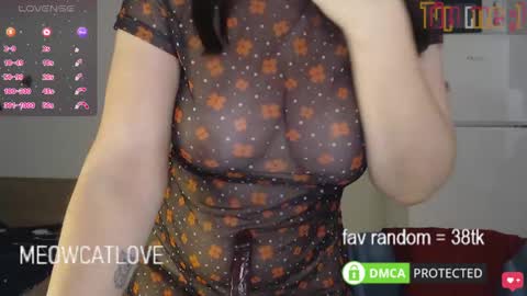 meowcatlove online show from January 21, 8:32 pm