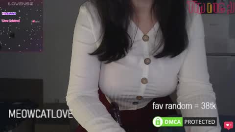 meowcatlove online show from January 20, 9:01 pm