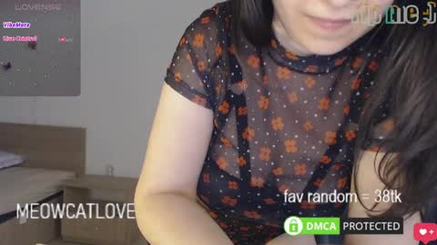 meowcatlove online show from February 28, 9:55 pm