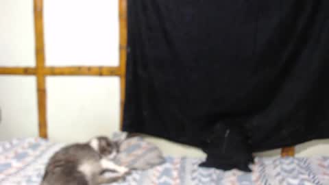 Snapshot of miahells chatting on October 9, 10:04 pm Mia Sam online show from October 9, 10:04 pm