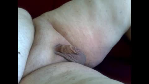 micropimmel online show from January 18, 12:58 pm