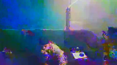 midtownhustler online show from November 26, 8:11 am