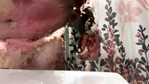 jake online show from April 22, 11:23 pm