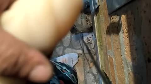 miky17cm online show from February 10, 3:09 am