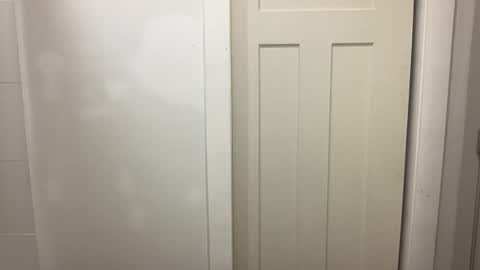 HungCollege online show from December 20, 4:19 am