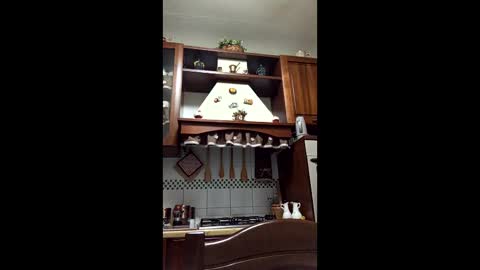 minchiadura871336 online show from April 22, 12:51 am