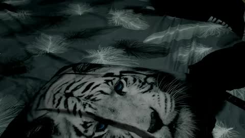 minka0 online show from April 8, 8:01 pm