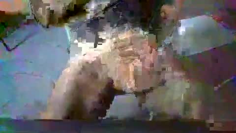 minoas31 online show from December 13, 8:09 am