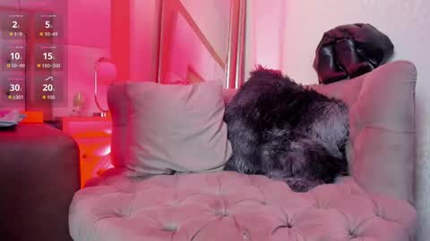 Miranda online show from October 23, 5:25 pm