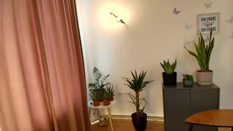 Mirela online show from March 29, 8:49 am