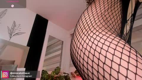 Catalina online show from April 1, 1:41 pm