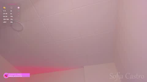 Sofia Castro online show from February 26, 1:43 pm