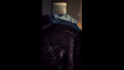 MissNiagara online show from January 14, 8:06 pm