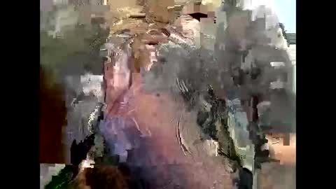 Snapshot of mommyissues2386 chatting on September 28, 9:57 pm Richard Sheridan online show from September 28, 9:57 pm