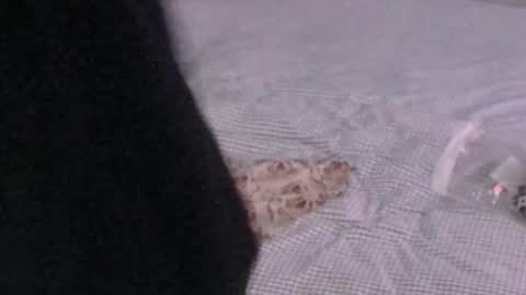 montydxxx2 online show from March 1, 6:50 am