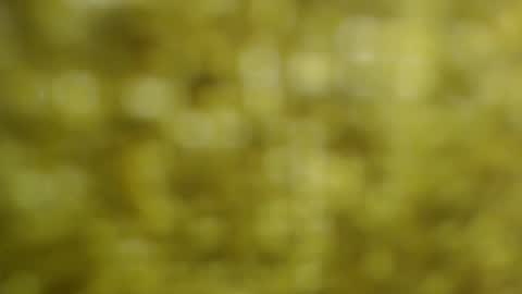 morgan_82ws online show from November 16, 1:40 am